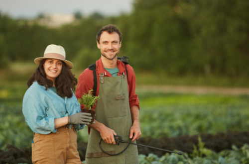 Jovens agricultores