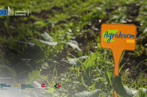 AGRIJOVEM – candidaturas até 25 de Julho