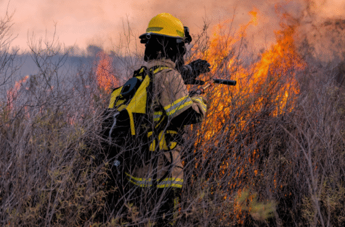 Prevenção e Vigilância perante risco acrescido de Incêndios Rurais
