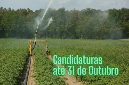 Melhoria da Sustentabilidade dos Regadios Existentes